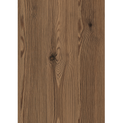 Pal melaminat Larice de munte Thermo maro