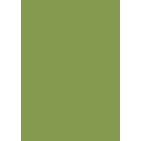 Pal melaminat Verde kiwi