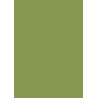 Pal melaminat Verde kiwi