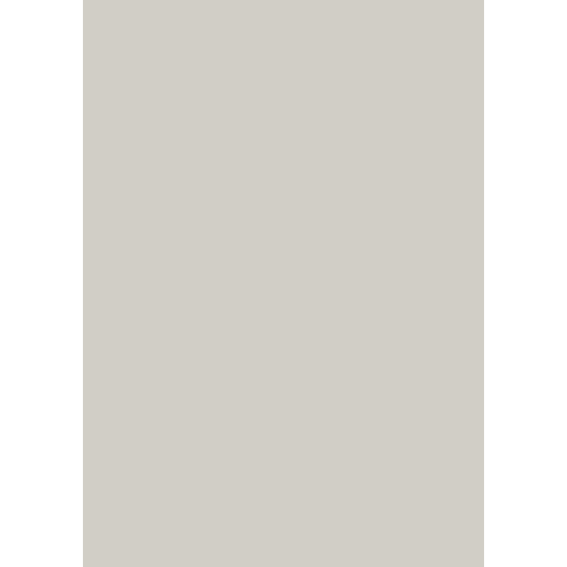 Pal melaminat Gri deschis
